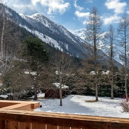Saint Bernard Apartment